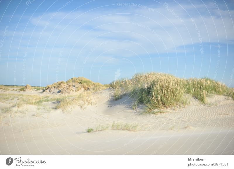dune dunes Summer Beach Vacation & Travel Nature Sky North Sea coast Landscape Sand Marram grass Exterior shot Relaxation Colour photo Tourism Clouds Ocean Blue