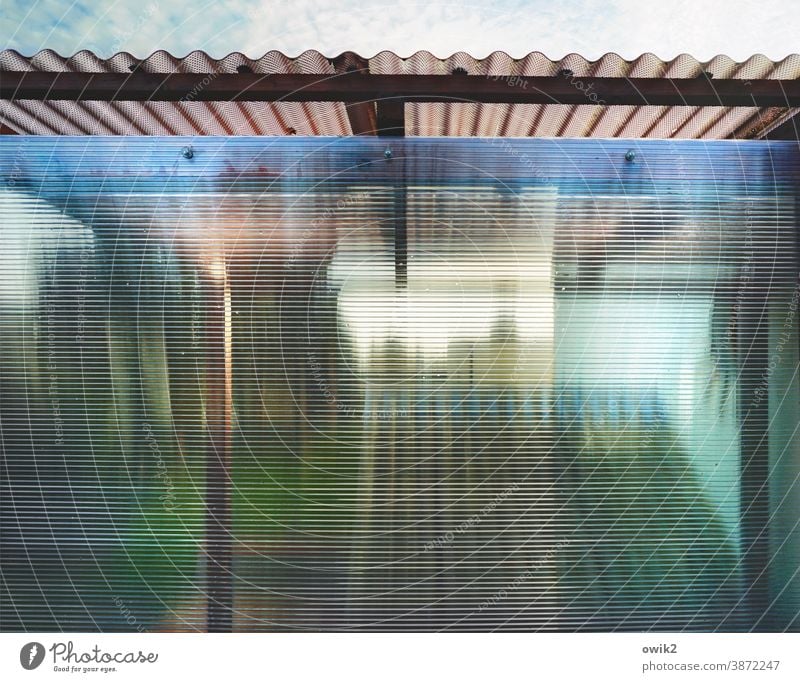 Behind the lines Glass wall Translucent Hazy Protection blurriness Window Long shot Copy Space bottom Copy Space top Deserted Colour photo Hint Green hazy