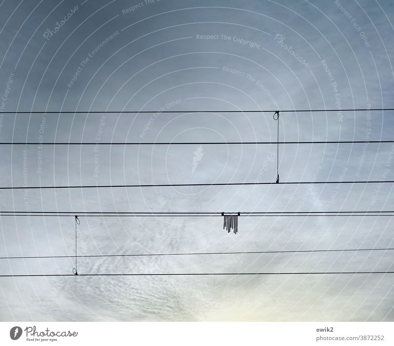catenary wire wires Cables Thin Railroad Metal Hang Mysterious puzzling Exterior shot Sky Deserted Detail Blue Unclear Colour photo Structures and shapes Day
