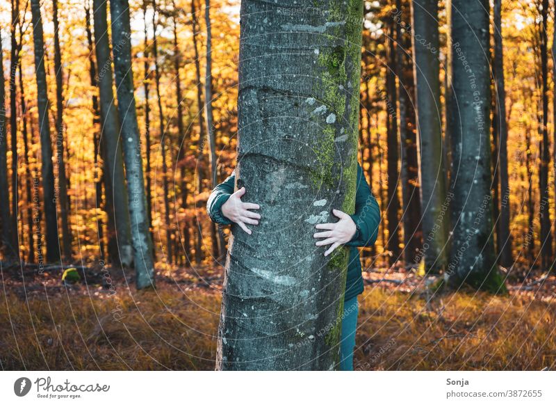 Woman hugs a tree in the forest Tree Embrace Forest Autumn Nature Lifestyle Vacation & Travel Seasons Love To go for a walk explore Joy Relationship Freedom