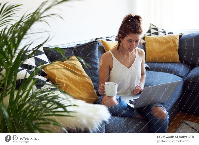 Young female working on laptop on sofa. caucasian young woman home 20s brunette computer work from home person writing indoors student studying browsing