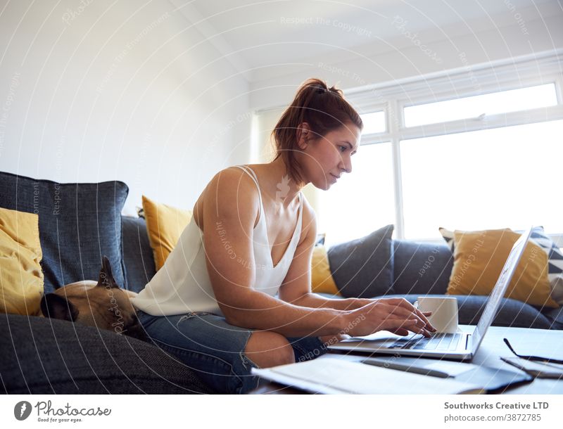 drinking coffee happy young woman female working home laptop sofa 20s brunette computer work from home person writing indoors student studying browsing