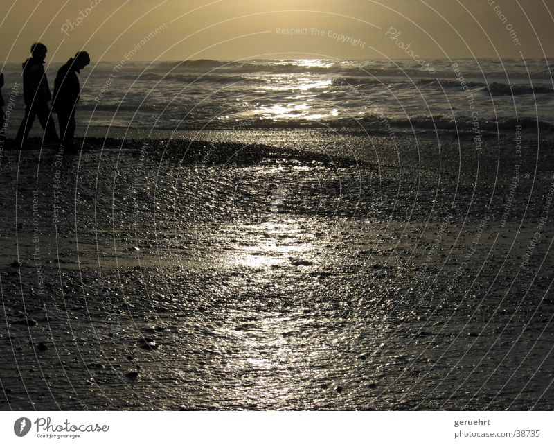 horizon in gold Tide Waves Coast Beach Sunset Reflection Silhouette 2 Child Boy (child) North Sea High tide Stone Observe Looking
