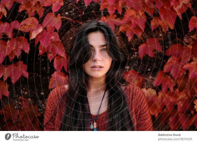 Woman standing on red autumn leaves wall woman leaf foliage unhappy sad color portrait brunette young female season fall nature park calm lady colorful bright