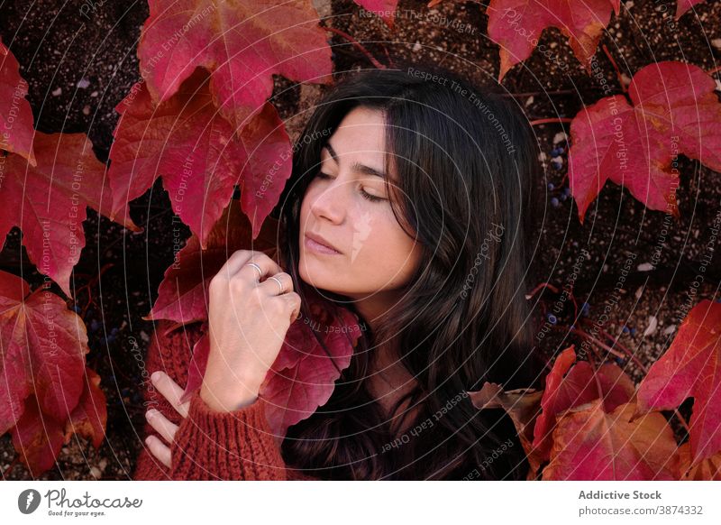 Woman standing on red autumn leaves wall woman leaf foliage color portrait brunette young female season fall nature park calm lady colorful bright natural mood