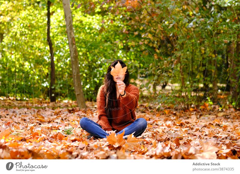 Woman with maple leaf in autumn park woman foliage forest hide show fall tree young female nature season lifestyle beautiful colorful chill cover positive