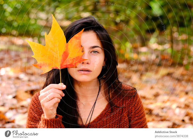 Woman with maple leaf in autumn park woman foliage forest hide show fall tree young female nature season lifestyle beautiful colorful chill cover positive half