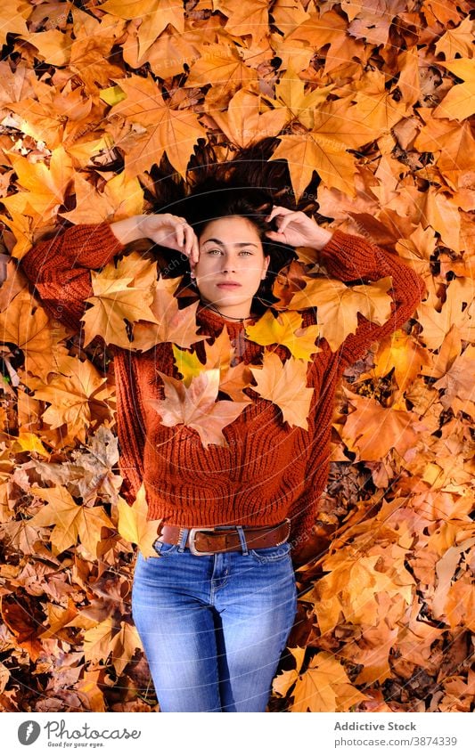 Young woman lying on autumn leaves in park foliage leaf maple chill relax color fall calm sensual dream peaceful tranquil serene nature young female season rest