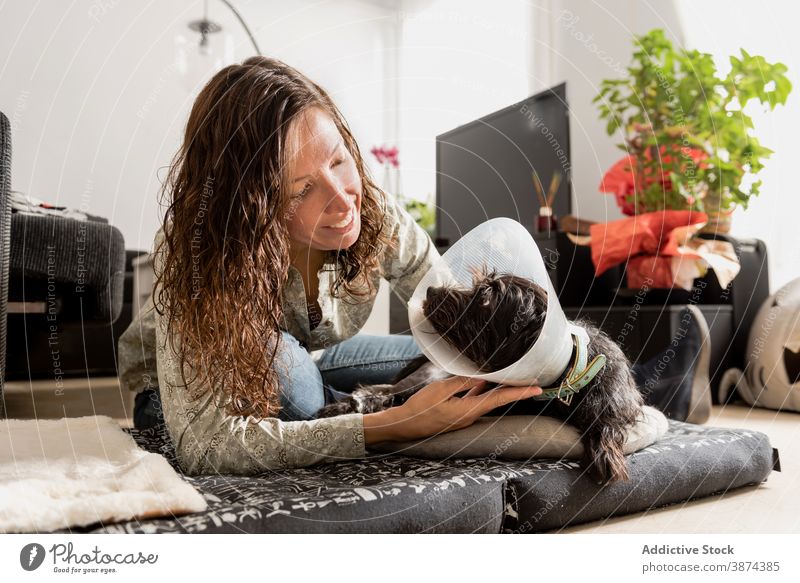 Cheerful woman with dog in pet cone at home elizabethan collar owner cone of shame together animal friend lying bed floor cozy room cute canine friendship