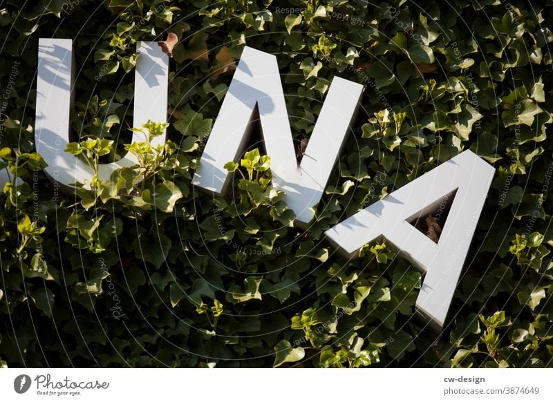 UNA - lettering on green house facade una Letters (alphabet) White Green Nature Facade Green facade green lung Exterior shot Environment Leaf Plant Garden