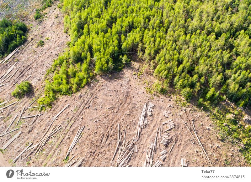 Felling forest from above Forest felled forest Climate change trees Tree Bark-beetle German forest from on high