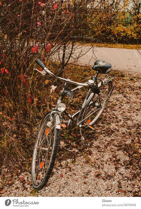 Lonely bicycle in autumn landscape Bicycle Autumn Autumnal landscape Wheel Parking switch off men's bicycle sustainability Sustainability Means of transport