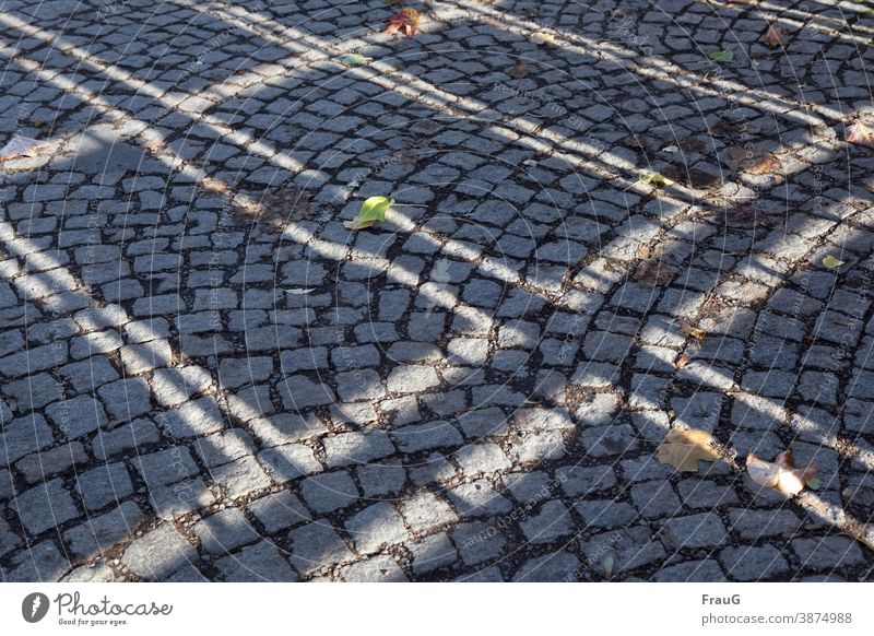 Light play on the pavement Paving stone Granite Floor covering Pavement Gray Street Lanes & trails Visual spectacle Structures and shapes lines Rectangles