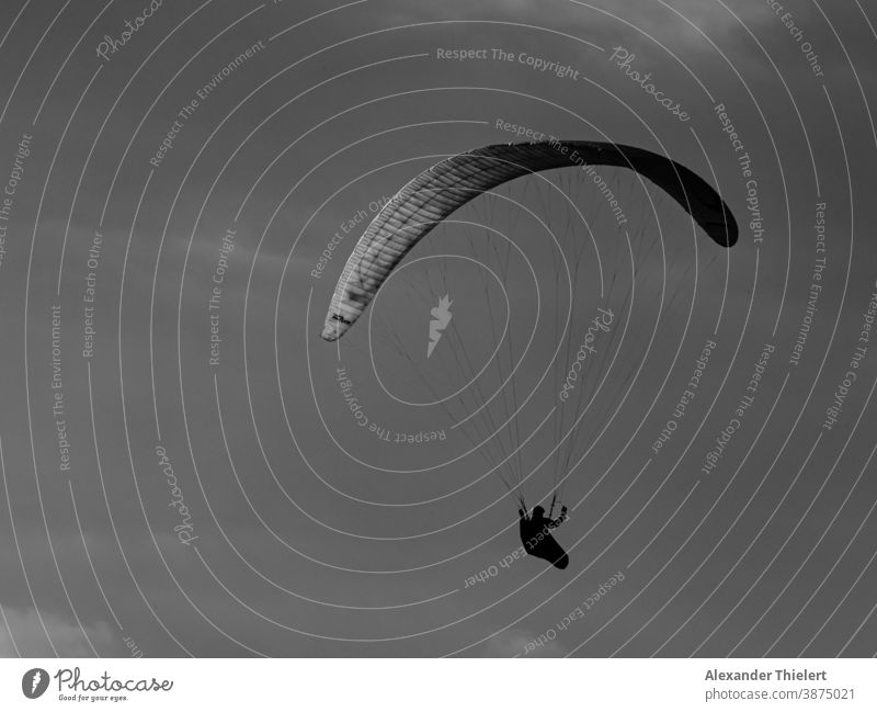 Paragliders in the air as silhouette in front of clouds Paragliding Flying Parachute person Silhouette Paraglider pilots Black & white photo Paraglider-umbrella