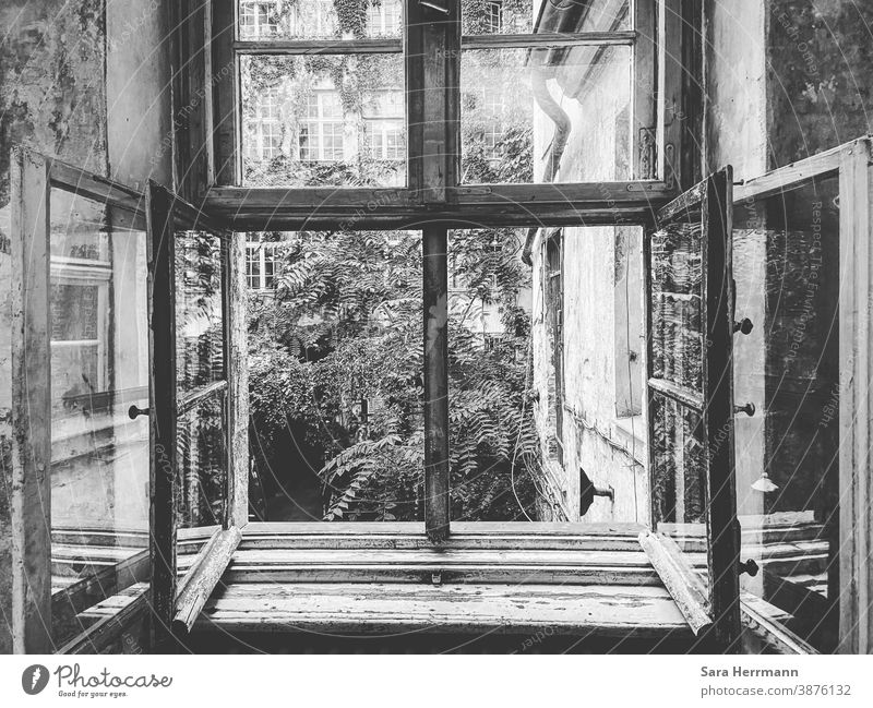 A window to the green Window Open Hope Gray Green Garden Berlin Deserted Town