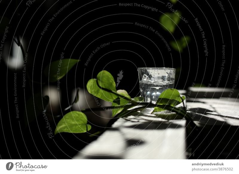 a glass of water on a white table with rays of the sun and with green leavs summer morning mineral clear filter background nature fresh drink jug clean