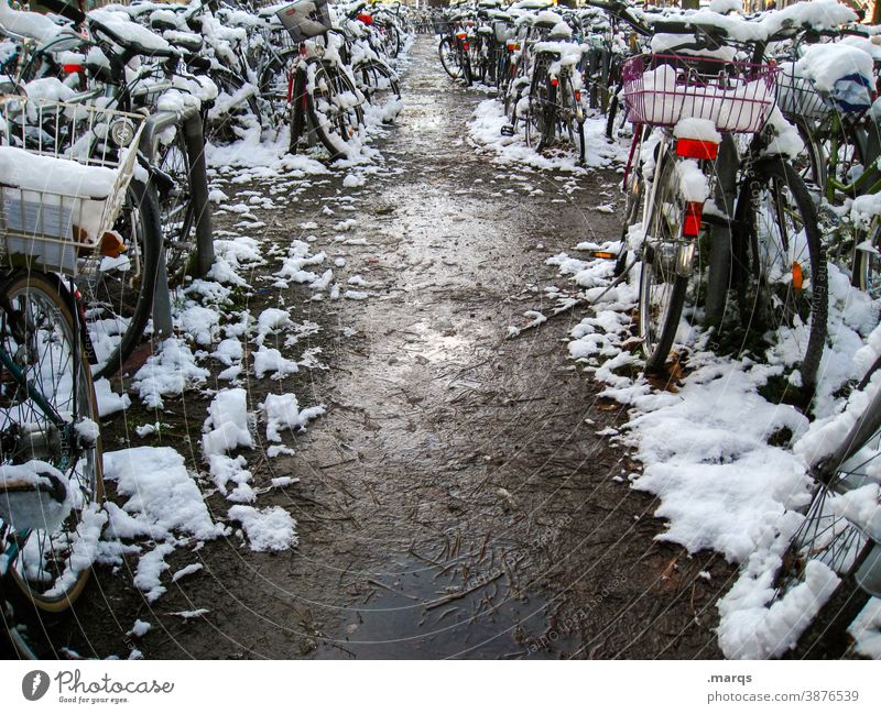 Snowy bicycle parking Bicycle Many Winter Bicycle lot Parking Cold snow-covered Town Mobility Lanes & trails