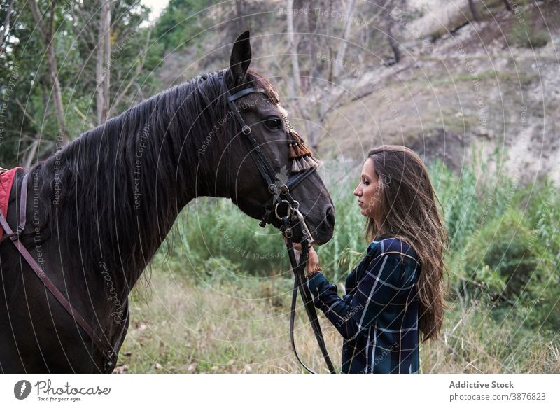 Woman with horse in forest woman caress equestrian together friendship stroke animal jockey female chestnut muzzle equine tranquil nature stand peaceful breed