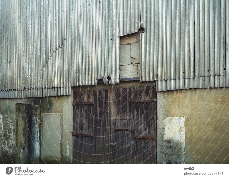 Oll Corrugated iron wall Wall (barrier) Depot Warehouse Hall Metal Colour photo Gray Detail Pattern Structures and shapes Exterior shot Deserted Copy Space left