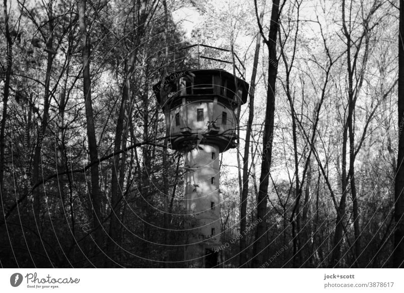 Lost watchtower in the middle of the forest Decline Architecture lost places Autumn Tree Nature Forest Past Ruin Historic Derelict covert Concealed Watch tower