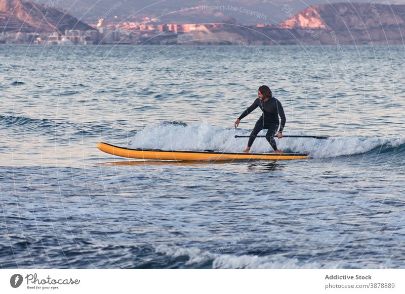 Man in wetsuit on paddleboard in sea man surfer row sup training male summer sport water sunset nature enjoy professional sportsman fit confident guy alone