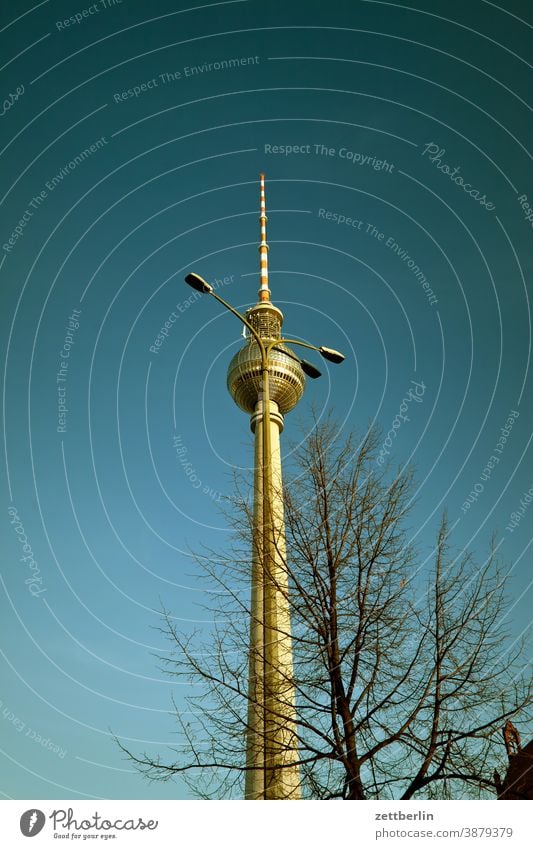 Television tower behind a lantern alex Alexanderplatz Architecture Berlin Office city Germany Worm's-eye view Capital city House (Residential Structure) Sky