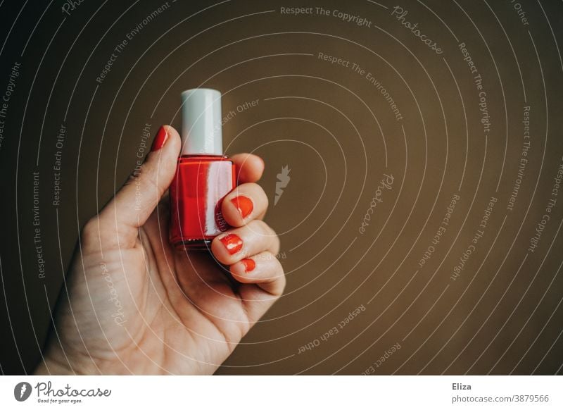 Female hand with red painted fingernails holding a bottle of red nail polish Nail polish Red Feminine Painting nails Fingers feminine Manicure Woman Cosmetics