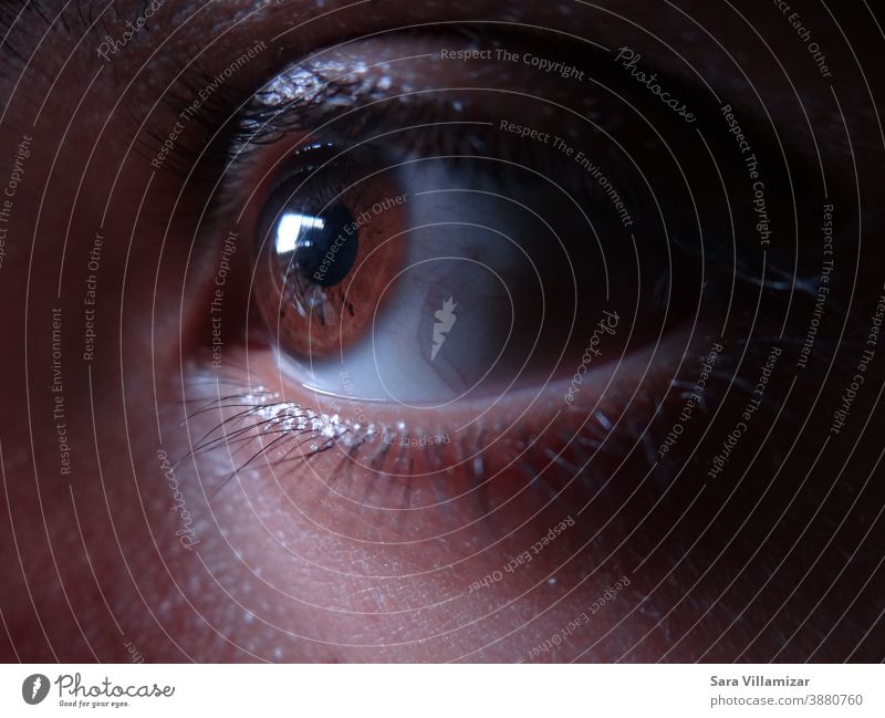 Close-up photo of a brown eye. Eyes Brown Brown eyes Eyelash Eye colour Macro (Extreme close-up) Iris Human being