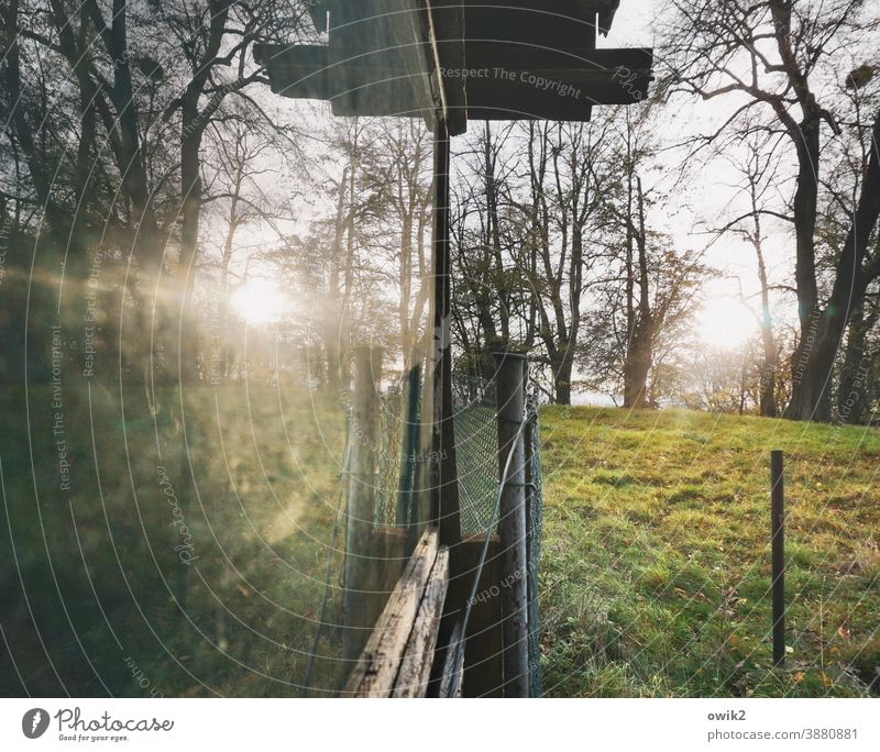 Getting late cot Window Garden Flake Glass reflection trees Meadow Grass Sun Sunlight Evening Fence post Nature Colour photo Reflection Exterior shot Deserted