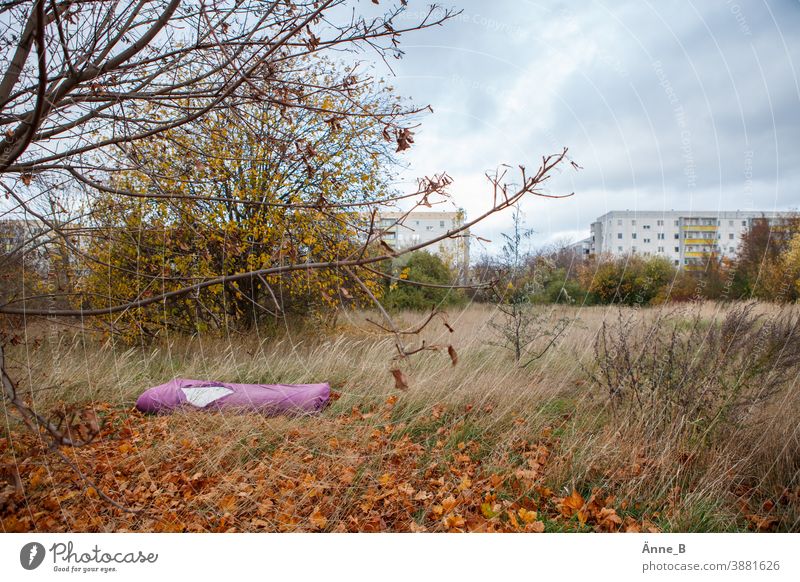 Mattress in remote residential area Residential area Gloomy dreariness fringe Deserted Building block of flats blocks of flats dog meadow Tree Bushes Autumn