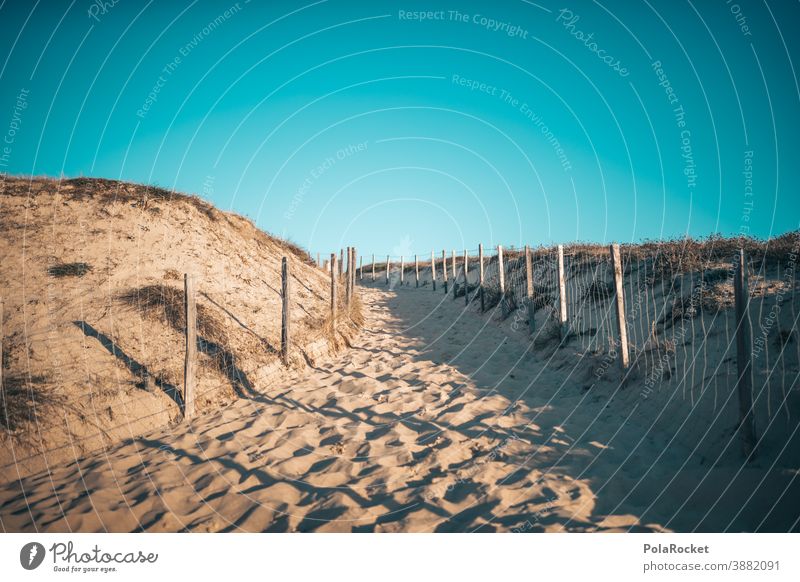 #A0# Beach day duene beach emergence Dune Rise France coast Sand Ocean Vacation & Travel Landscape Exterior shot Tourism