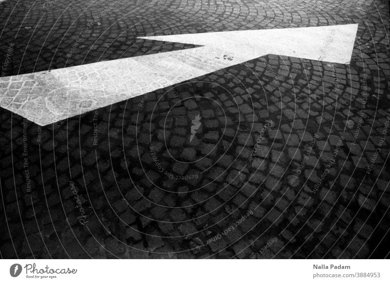 White arrow on roman pavement Analog Analogue photo Exterior shot Deserted Black & white photo Day Town Rome Italy Street paving Paving stone Arrow Gray