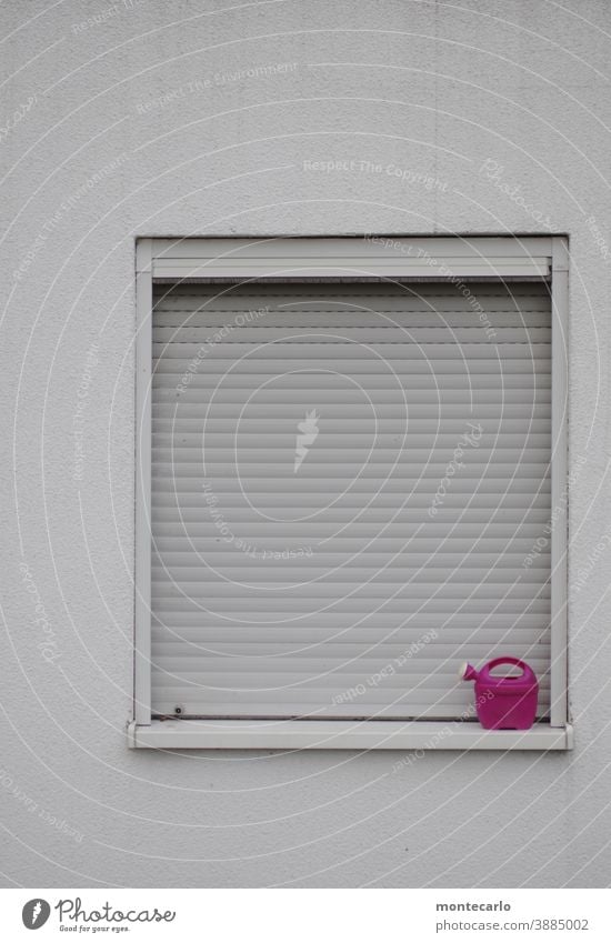 A pink watering can in the corner of a window with a closed roller shutter Watering can White Window house wall Plastered