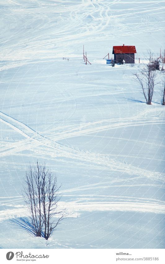 The bare bush in the winter landscape and the little wooden house with the red roof on the snowy ski slope. And of course many cross-country ski trails. Winter