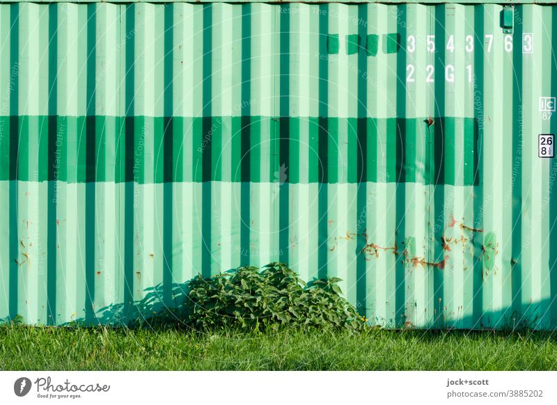 green container in the green Container Stripe Structures and shapes Lettering letter Digits and numbers Meadow shrub Scrape Rust Shadow Green Nature Metal