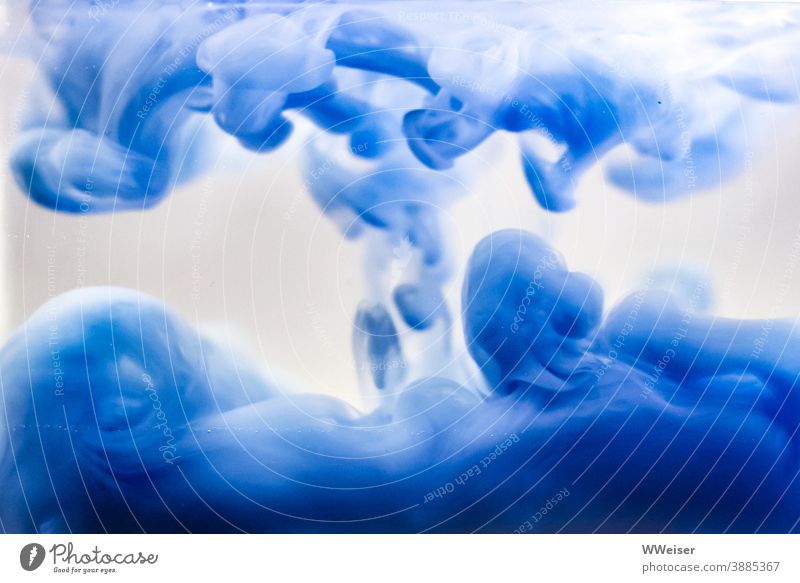 Blue colour streaks spread cloudy in the water Colour dark blue Water macro ink blue Clouds Abstract Slowly Art Structures and shapes Fluid Flow Creativity