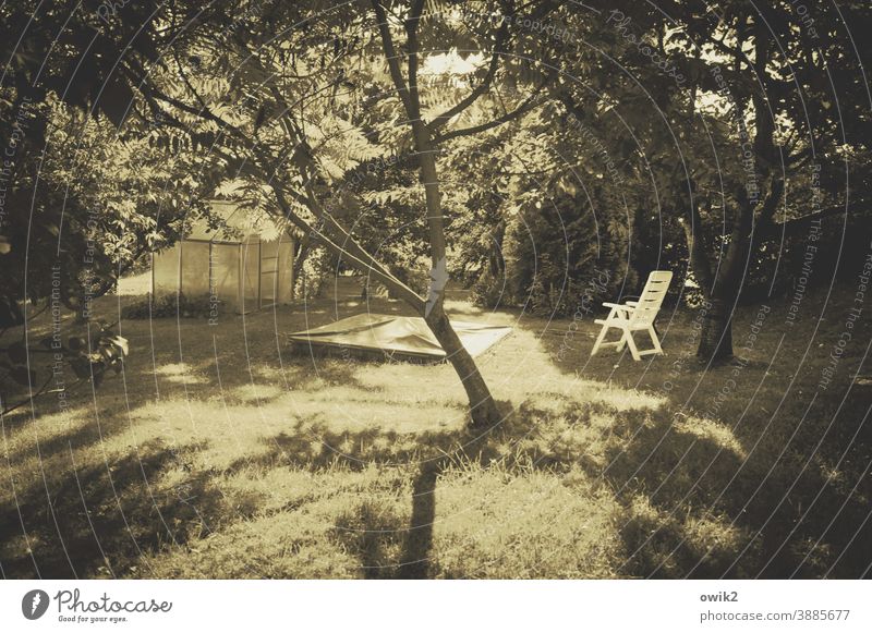 Retired persons Deckchair Seating Colour photo Break Sunlight Shadow Light Day Copy Space top Copy Space left Copy Space right Deserted Exterior shot
