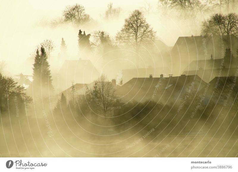 Fog lies over a village at sunrise Light Dawn Morning Exterior shot naturally Authentic Beautiful weather Sunlight Sunrise Autumn Eerie foggy Calm Deserted