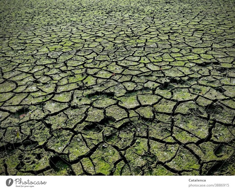 lack of water, the cracked earth of a dried-up lake Nature Mud Dry Drought cracks texture Climate change Ground Earth parched footprints Badlands textured
