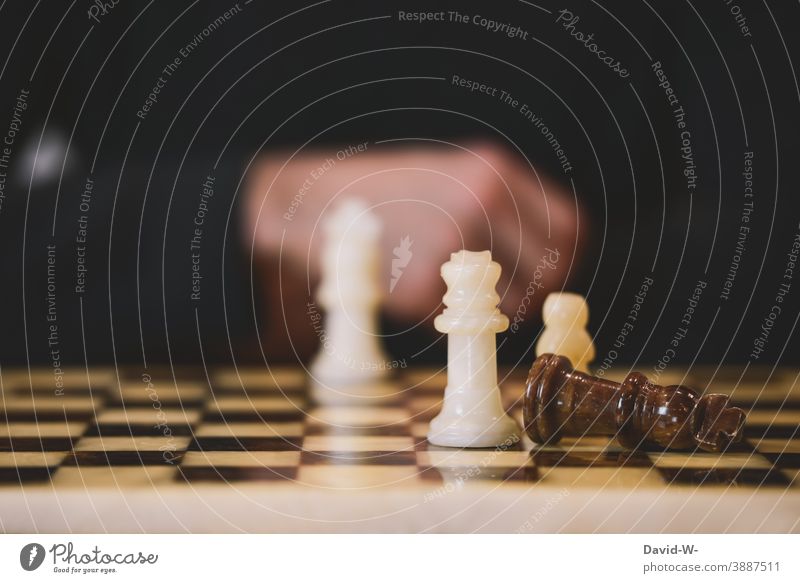 Chess - beat the opponent Success Thrashing triumphant King Fallen Success concept Chessboard successful
