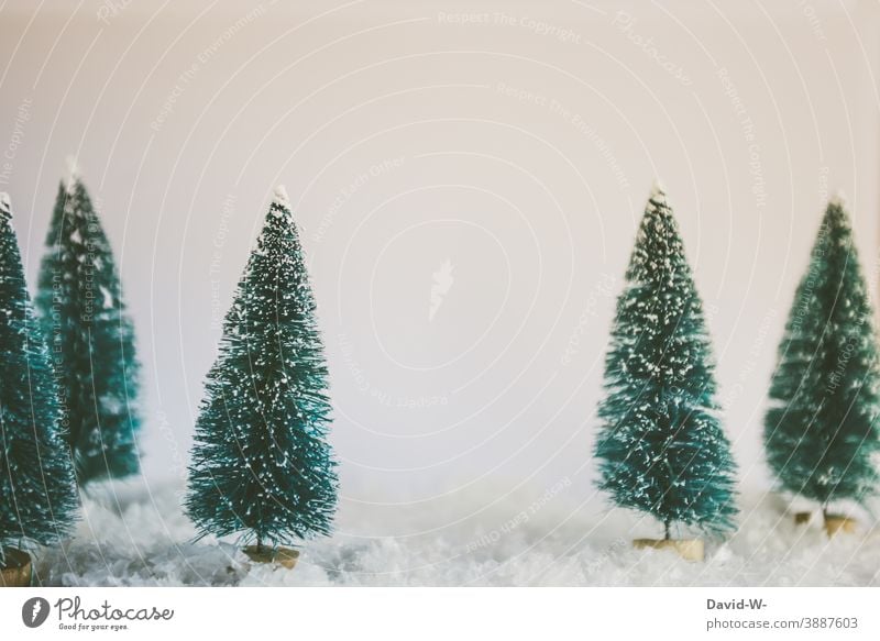 Christmas decoration - snowy fir trees for Christmas Christmas & Advent winter Winter Snow Christmassy fir scent Decoration