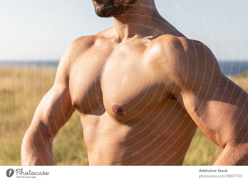 Shirtless strong man on meadow in summer shirtless muscle bodybuilder naked torso sportsman athlete hill grassy determine nature sportswear wellbeing motivation