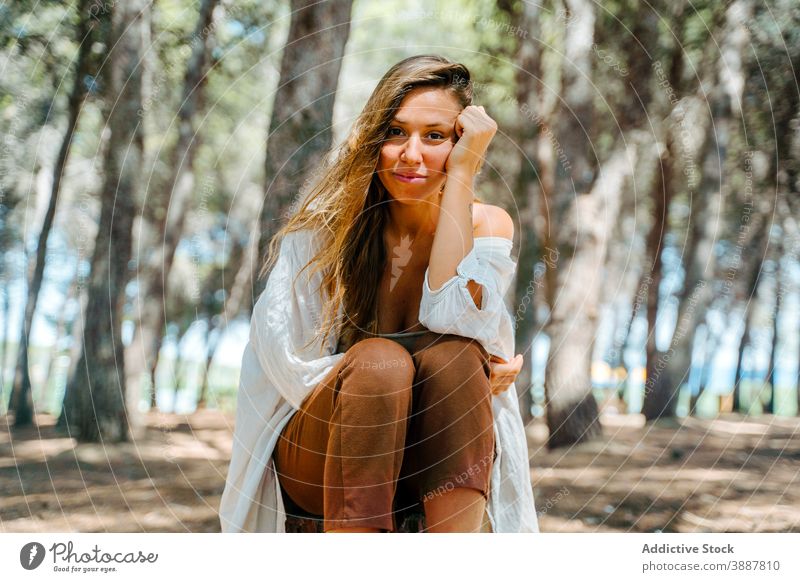 Smiling woman sitting in forest in summer hipster nature carefree tranquil gentle content relax female woods sunny enjoy lean on hand environment tender idyllic