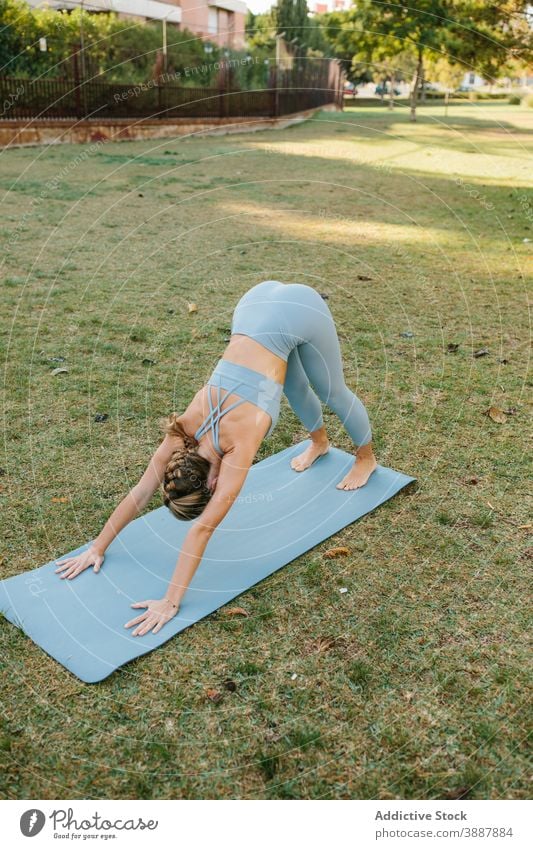 Woman doing Downward Facing Dog yoga pose in park woman downward facing dog adho mukha svanasana practice bend forward female wellness lifestyle harmony