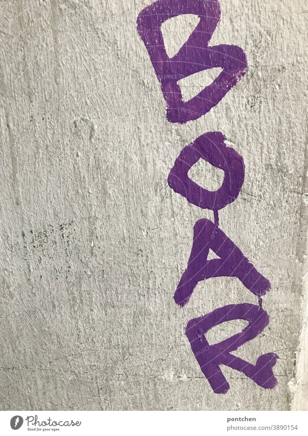 Graffiti- Boar stands in purple on a wall.enthusiasm boar Enthusiasm illicit Youth culture Daub Characters Wall (building) Word Wall (barrier) Subculture