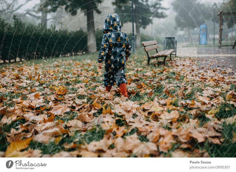Child with red rubber boots walking through autumn leaves Autumn Authentic Autumnal Autumn leaves Autumnal colours fall Fallen foliage Day Environment