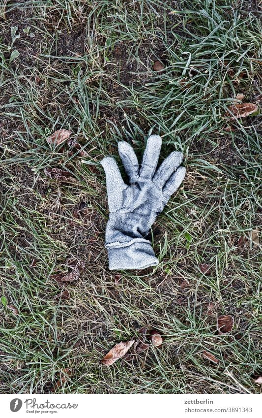 Lost glove in hoarfrost December Frost Closed off-season hoar frost Mature Holiday season closing time Low season Winter Lie Topple over Accident toppled over
