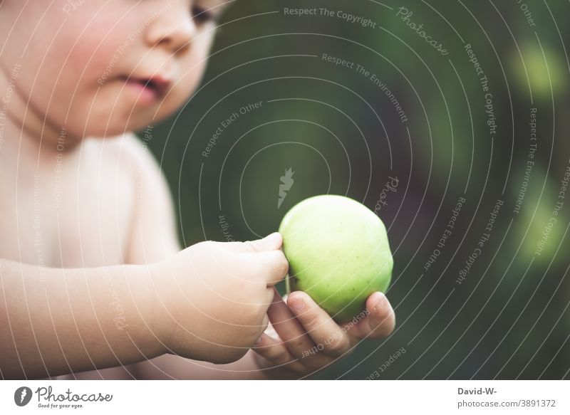 Child holds an apple in his hands Apple Healthy Eating Toddler explore Organic produce Fruit Delicious vitamins