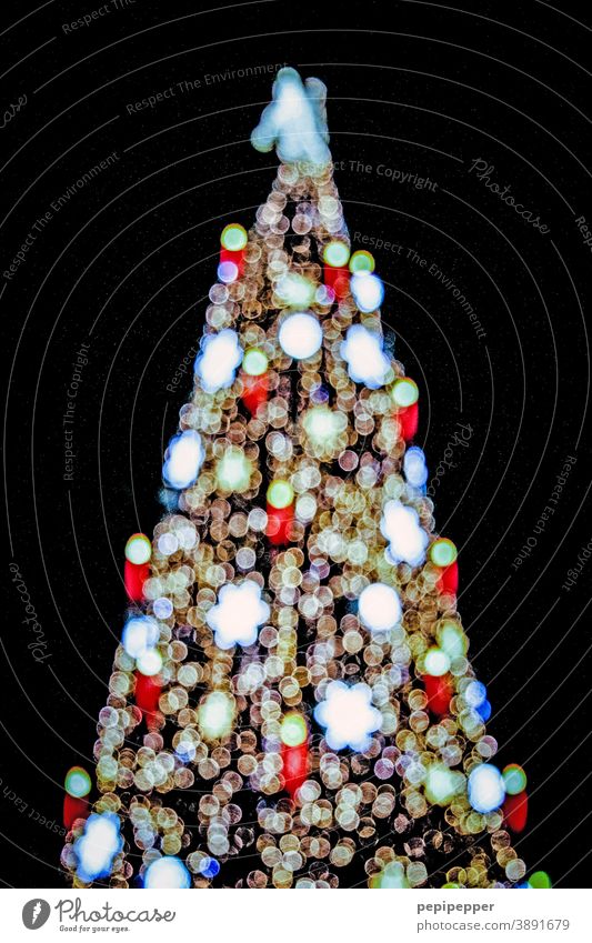 Christmas tree Christmas & Advent Christmas decoration fir tree Fir tree Christmassy Decoration Winter Festive Feasts & Celebrations Fairy lights Glitter Ball
