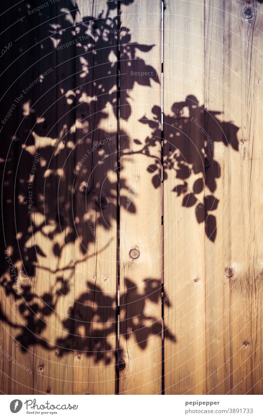 Shadow of leaves on a wooden wall Shadow play Silhouette Light Exterior shot Contrast Colour photo Sunlight Deserted Wood Wooden wall Structures and shapes